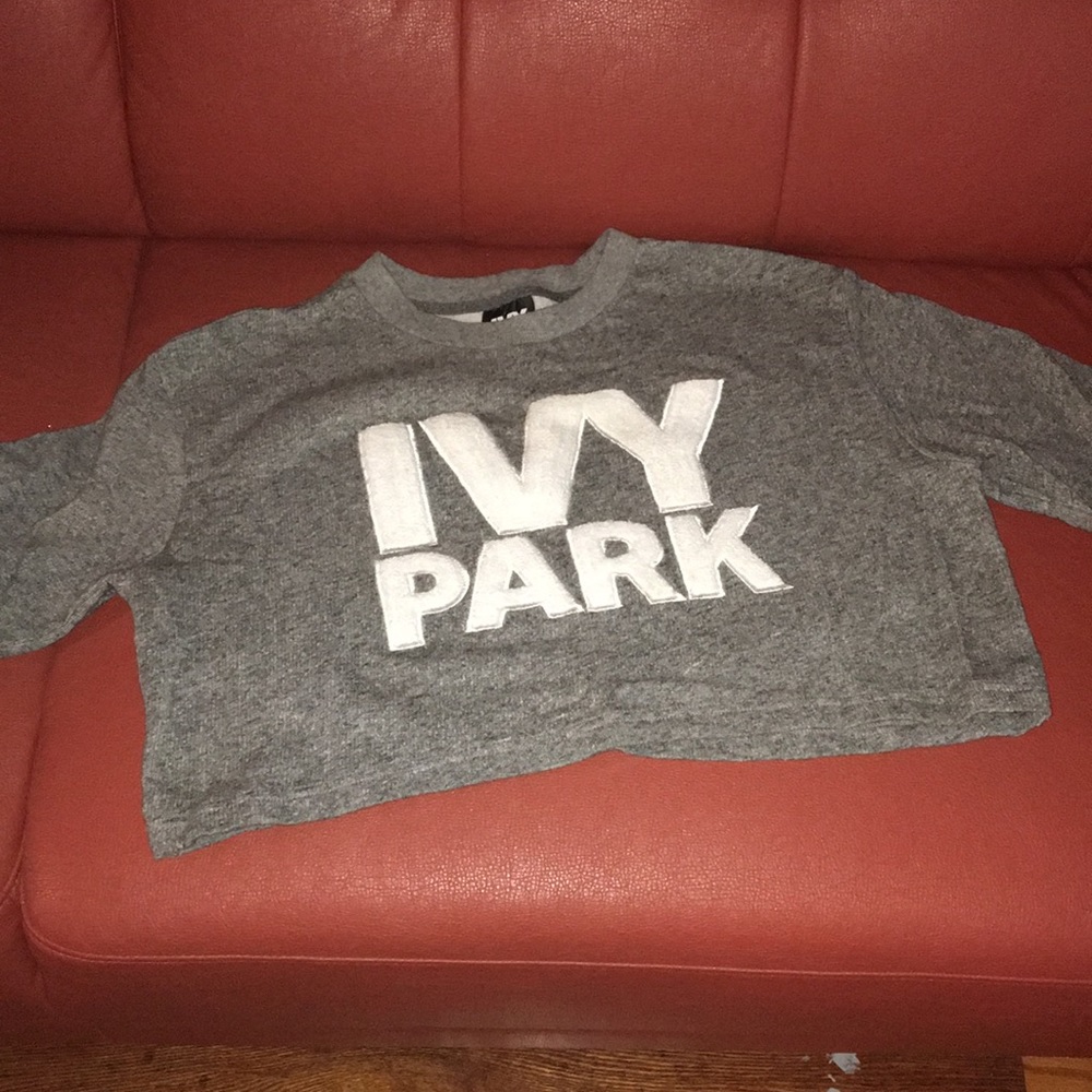 Ivy Park crop